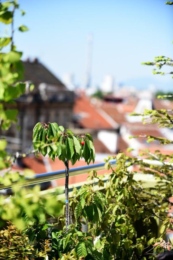 Rooftops Apartman Zagreb